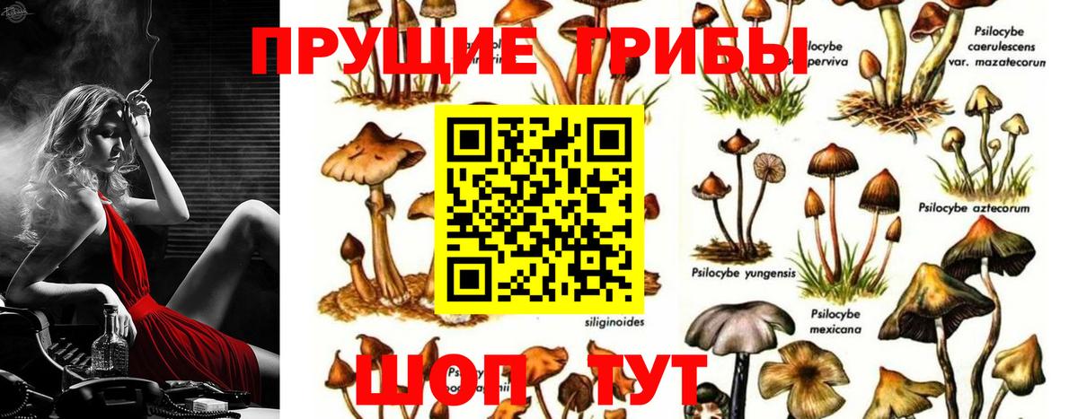 Кулебаки  Галлюциногенные грибы мухоморы  Вход с VPN 