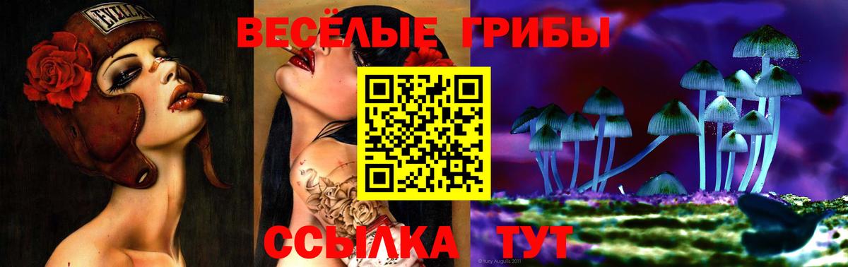 Галлюциногенные грибы ЛСД Кулебаки